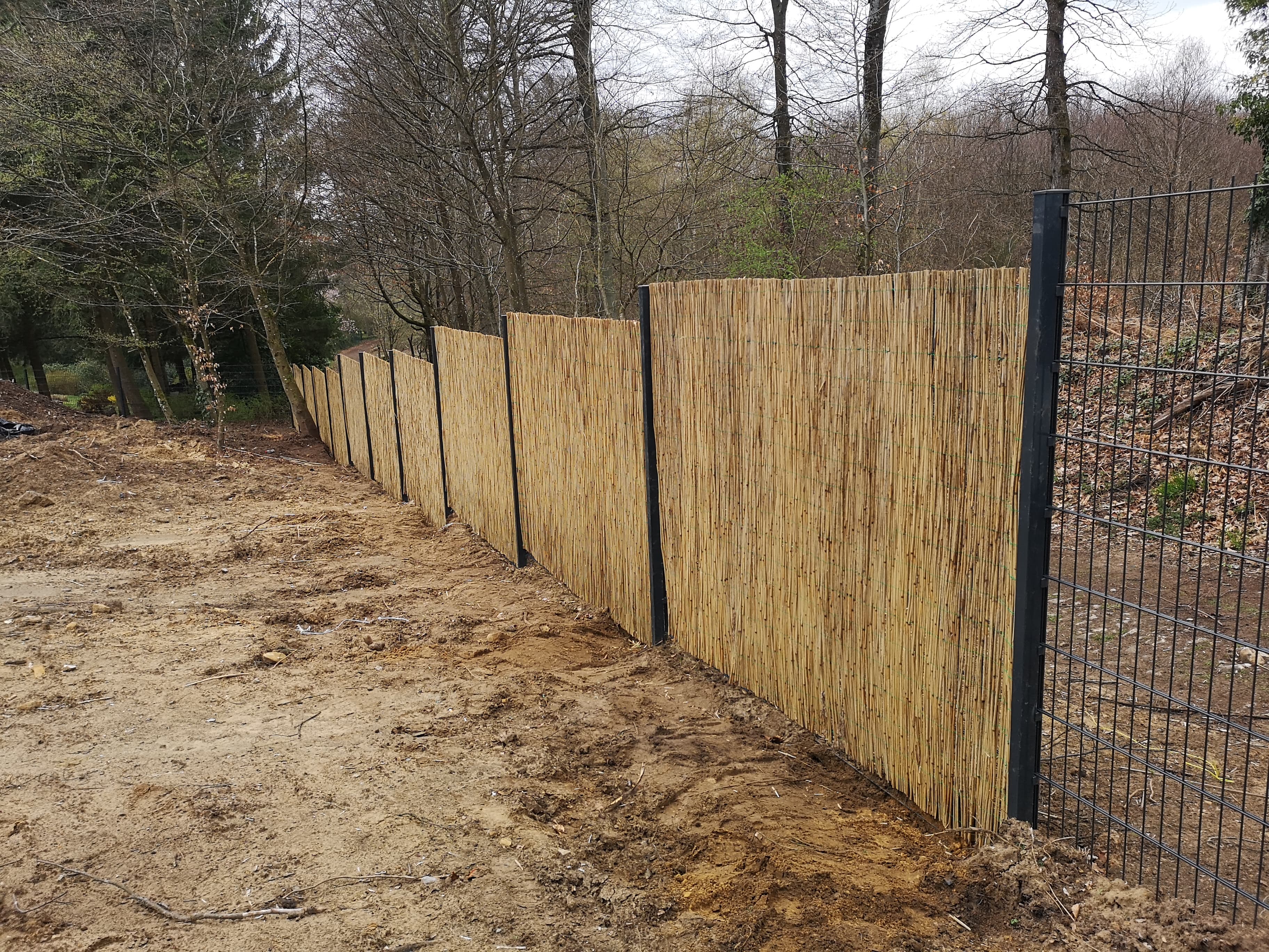 Brise-vue en canisse de roseau fixé sur une clôture rigide, réalisation Green Space