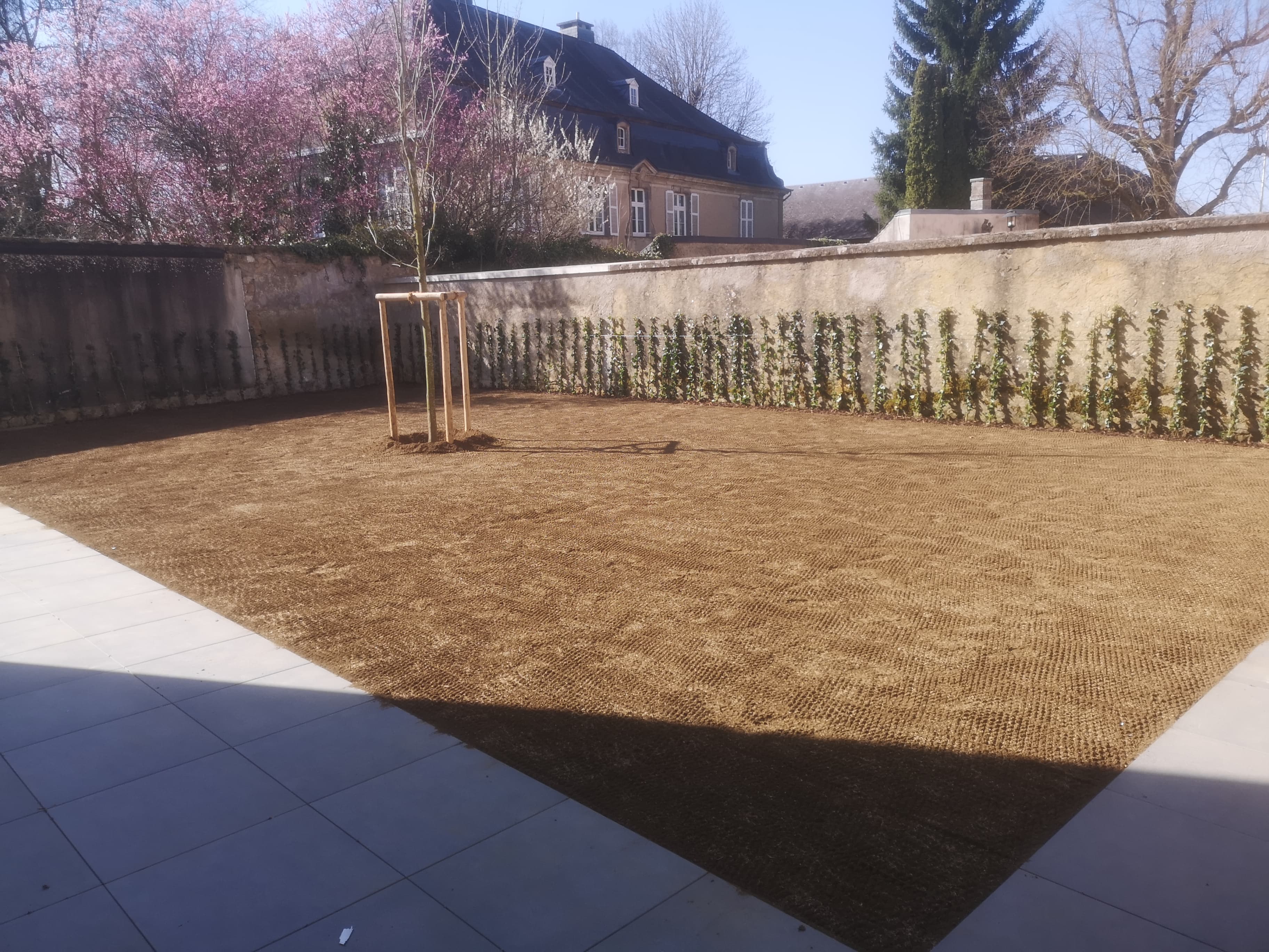 Engazonnement avec toile de coco et plantation d'un arbre dans un jardin clos, Green Space