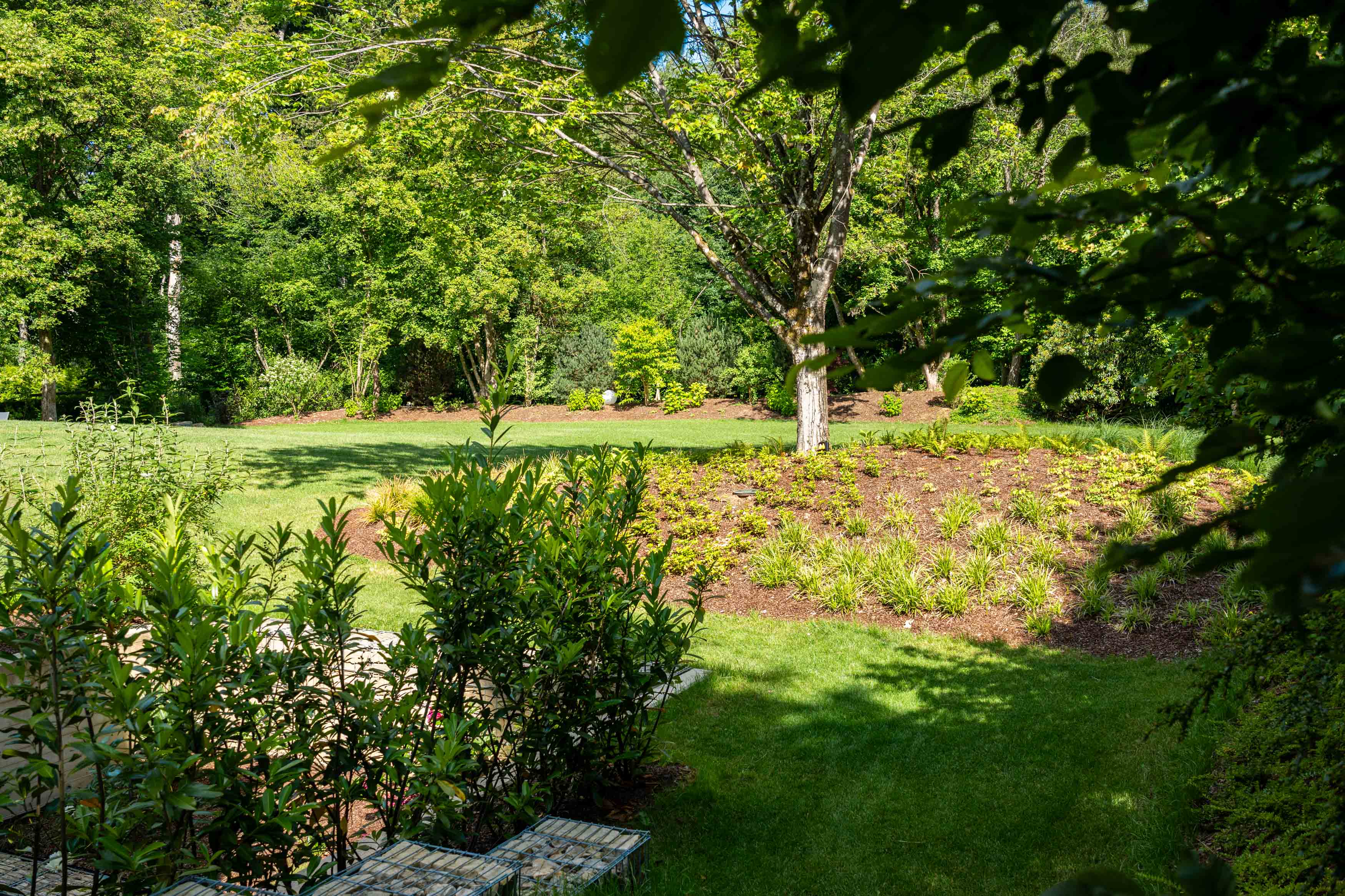 Vaste jardin paysager arboré avec pelouse et massifs en sous-bois, aménagement Green Space